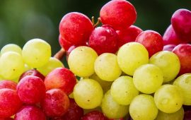 Как сохранить виноград на зиму: 3 лучших способа