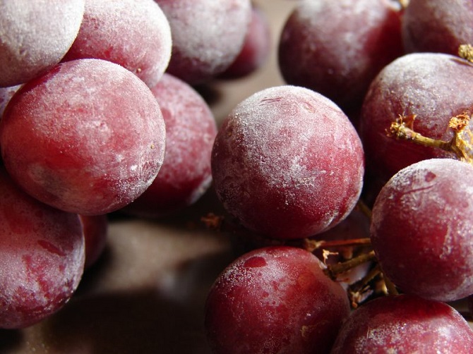 How to preserve grapes for the winter: 3 best ways 1