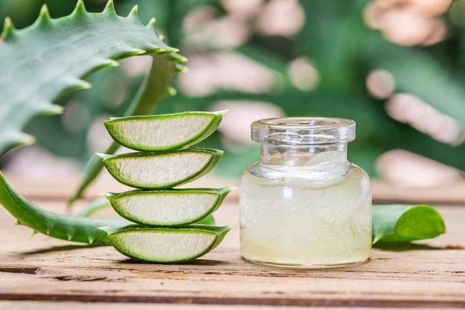 How to make homemade aloe cream and what are its benefits 1