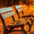 Happy First Day of Autumn 2024 – beautiful wishes in postcards, poems and prose