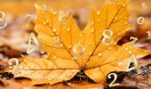 Numerology Forecast for September 2024: Prepare for New Opportunities and Challenges