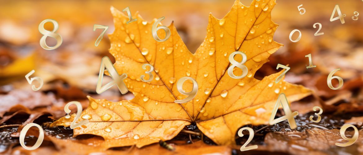 Numerology Forecast for September 2024: Prepare for New Opportunities and Challenges