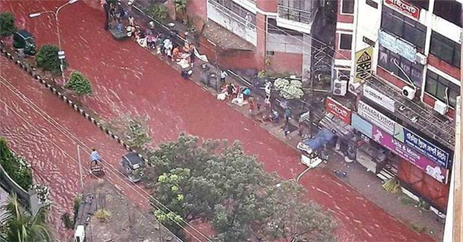 Bloody rain in India 3