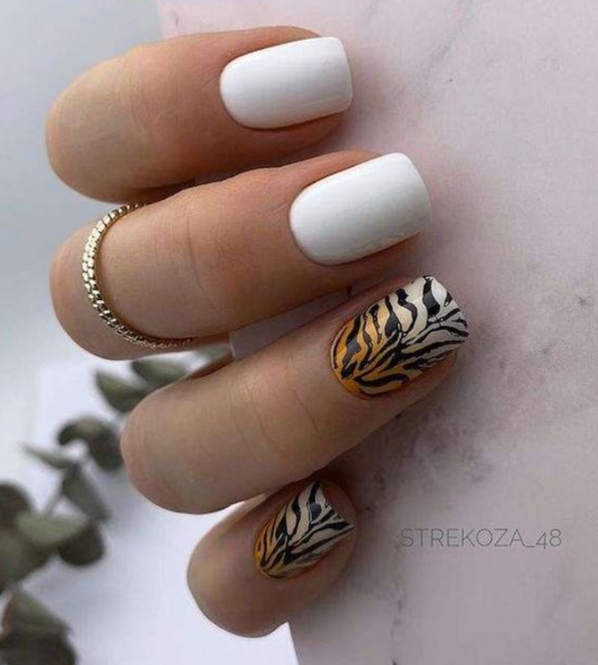 Tiger manicure: fashionable nail design ideas with photos 8