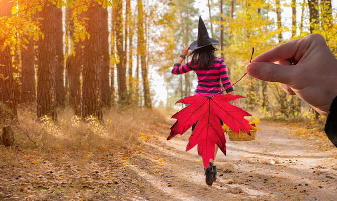 Fotoshooting im Herbst: 20 ausgefallene Ideen für Ihre Fotos 4