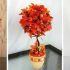 Autumn Topiary: Creating Atmospheric Home Decor