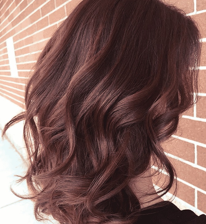 Stylish hair coloring for brunettes for fall 2024 3