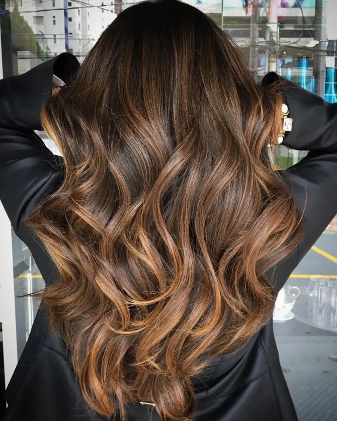 Stylish hair coloring for brunettes for fall 2024 7