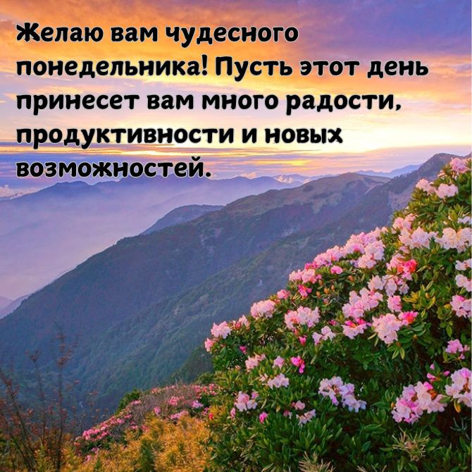 Хорошего понедельника – позитивные картинки с пожеланиями начала новой недели 13