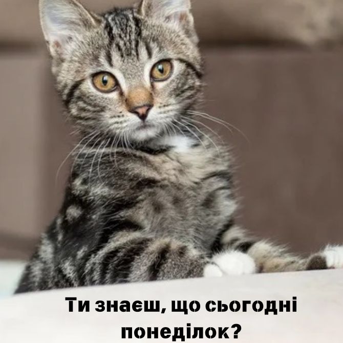 Хорошого понеділка – позитивні картинки з побажаннями початку нового тижня 10