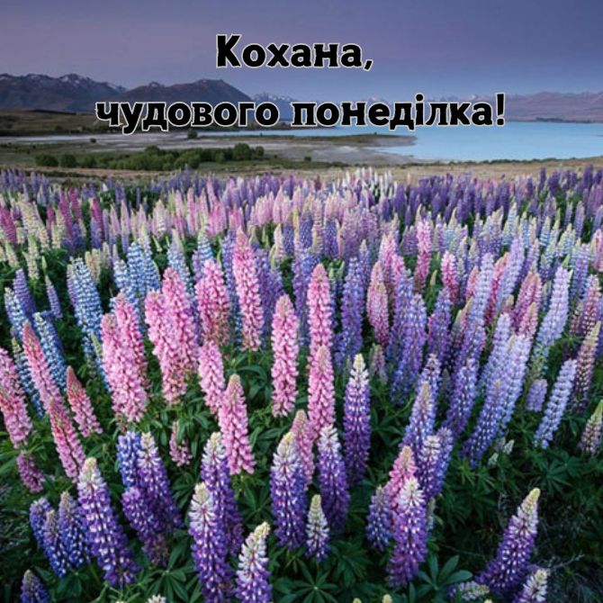 Хорошого понеділка – позитивні картинки з побажаннями початку нового тижня 16