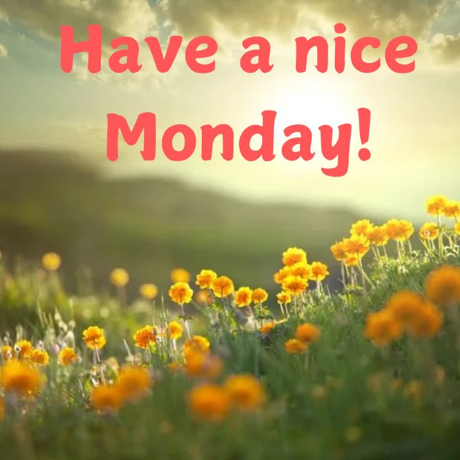 Have a nice Monday – positive pictures with wishes for the beginning of a new week 1