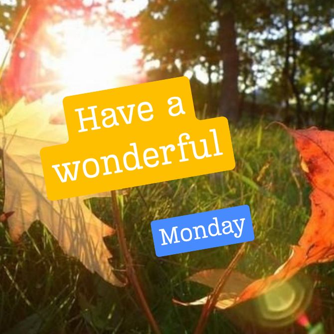 Have a nice Monday – positive pictures with wishes for the beginning of a new week 4