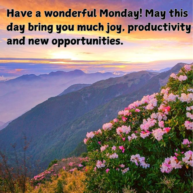 Have a nice Monday – positive pictures with wishes for the beginning of a new week 12