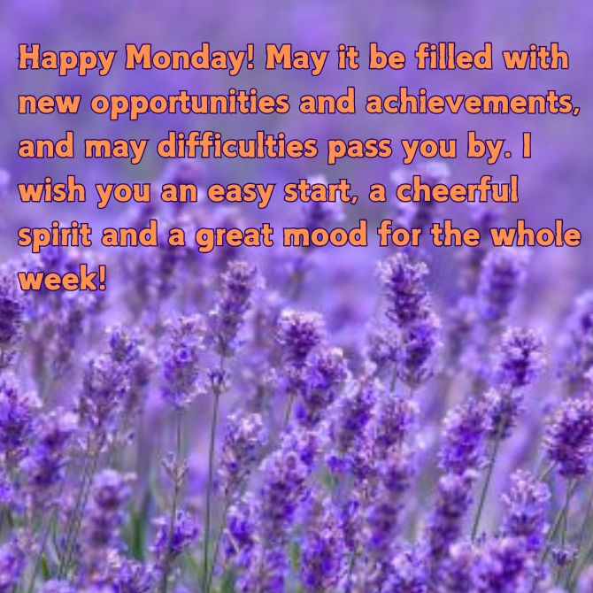 Have a nice Monday – positive pictures with wishes for the beginning of a new week 13