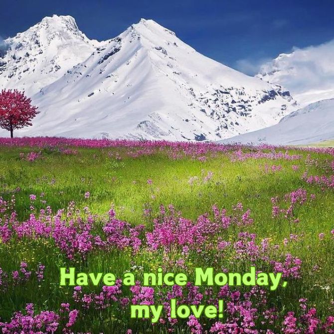 Have a nice Monday – positive pictures with wishes for the beginning of a new week 14