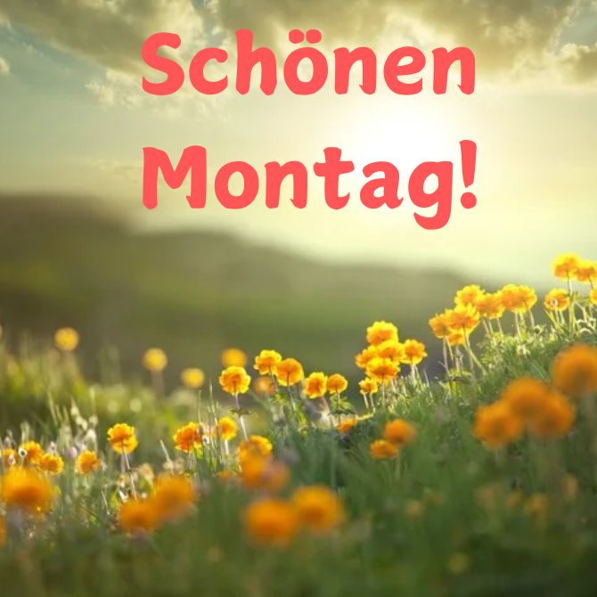 Schönen Montag – positive Bilder mit Wünschen für den Start in eine neue Woche 1