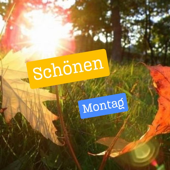 Schönen Montag – positive Bilder mit Wünschen für den Start in eine neue Woche 4