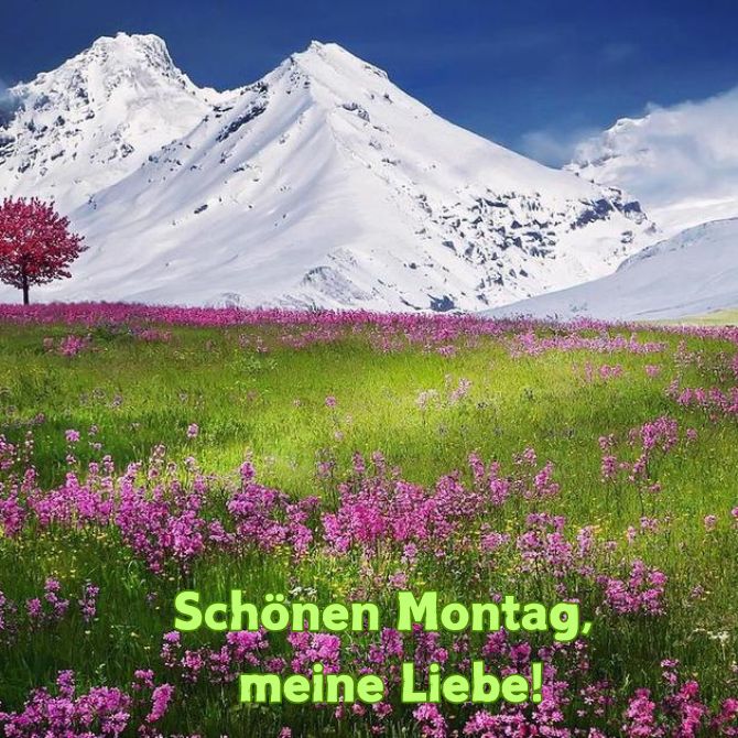 Schönen Montag – positive Bilder mit Wünschen für den Start in eine neue Woche 15