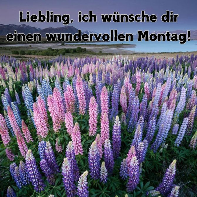 Schönen Montag – positive Bilder mit Wünschen für den Start in eine neue Woche 16