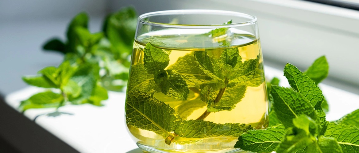 5 Health Benefits of Mint and Why You Should Eat It