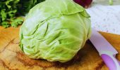 5 reasons why you should add cabbage to your diet