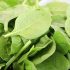 What greens to eat to maintain beauty and youth