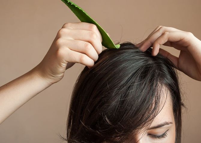 Vorteile von Aloe Vera für das Haar und wie man es richtig verwendet 1