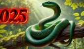 How the 2025 Green Snake Symbol Will Affect Different Spheres of Life