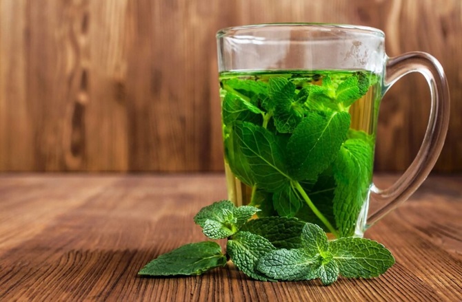 5 Health Benefits of Mint and Why You Should Eat It 1