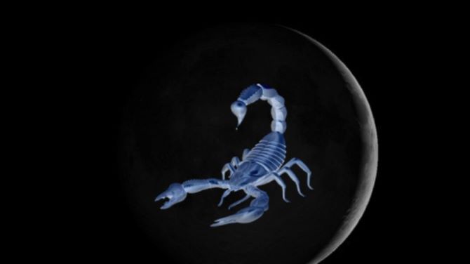 New Moon November 2024: Impact on Us and What to Expect 2