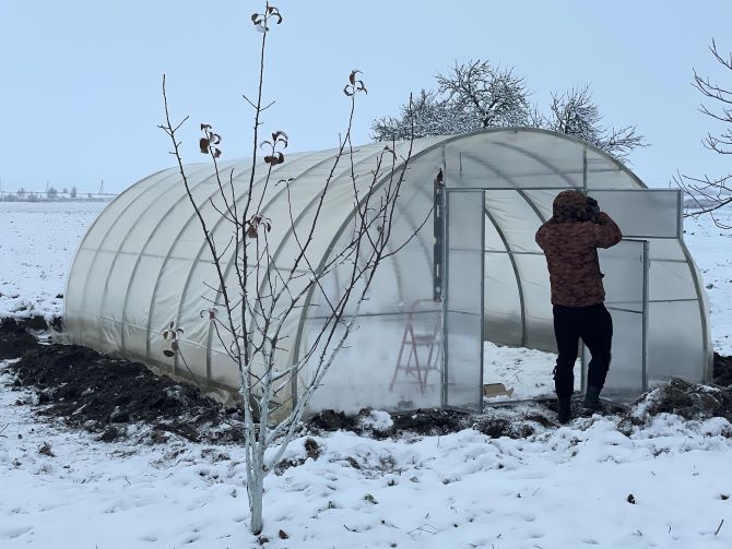 теплиці у Вороновиці