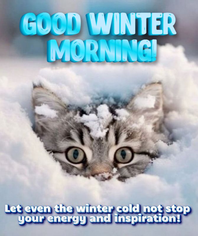 Good winter morning – cards and wishes 4