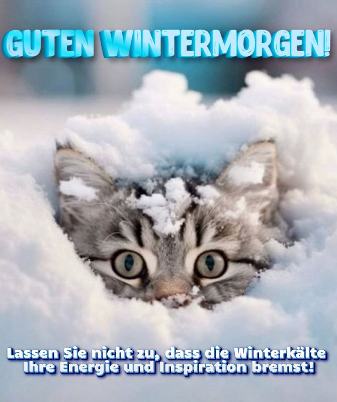 Guten Wintermorgen – Karten und Wünsche 4