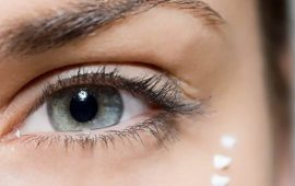 Winter skin care around the eyes: how to protect delicate skin from the cold