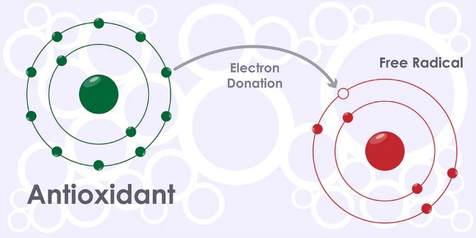 Антиоксиданты в косметике: как они работают и почему важны 2