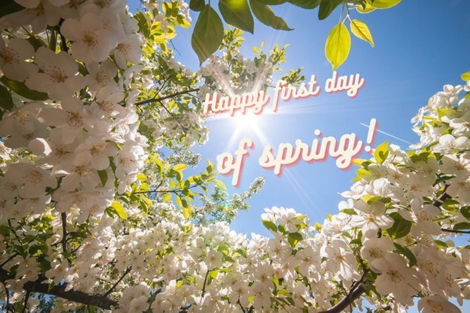 Happy First Day of Spring: beautiful wishes in pictures, poems and prose 2