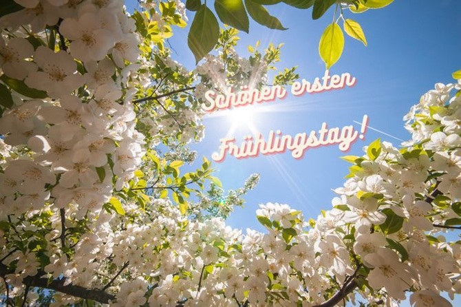 Alles Gute zum ersten Frühlingstag: schöne Wünsche in Bildern, Gedichten und Prosa 2