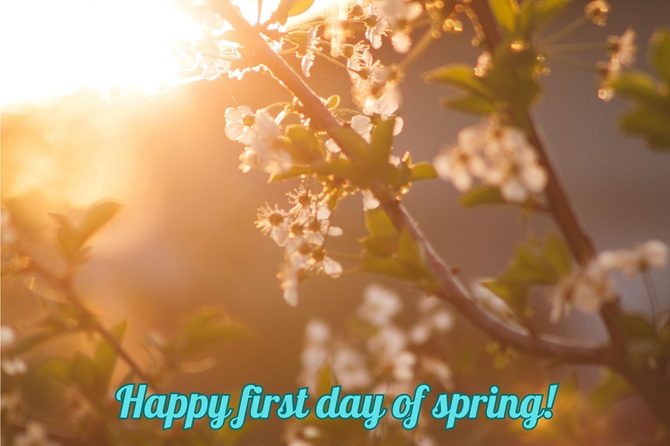 Happy First Day of Spring: beautiful wishes in pictures, poems and prose 1