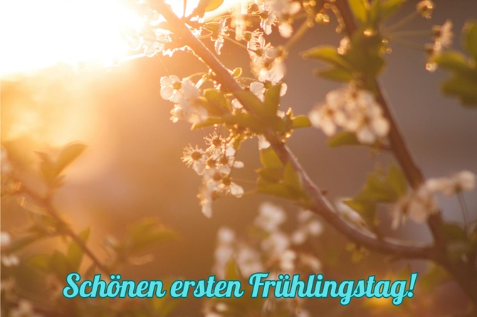 Alles Gute zum ersten Frühlingstag: schöne Wünsche in Bildern, Gedichten und Prosa 1