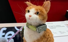 The world’s first smartphone for animals was shown at MWC 2025