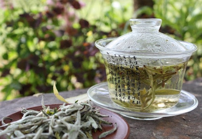 3 Teas That Boost Collagen Levels and Rejuvenate Skin 1