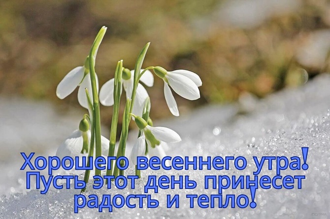 Хорошего весеннего утра: пожелания для каждого с прекрасным утром весны 3