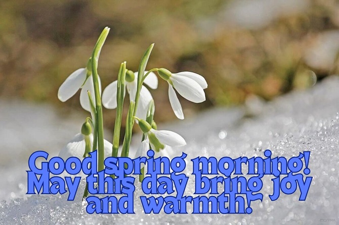 Good spring morning: wishes for everyone with a wonderful spring morning 3