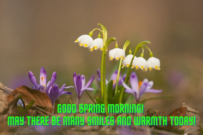 Good spring morning: wishes for everyone with a wonderful spring morning 4