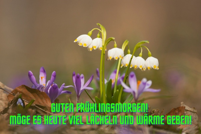 Guten Frühlingsmorgen: Ich wünsche allen einen wunderschönen Frühlingsmorgen 4