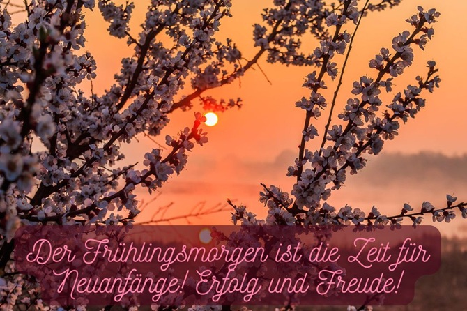 Guten Frühlingsmorgen: Ich wünsche allen einen wunderschönen Frühlingsmorgen 5