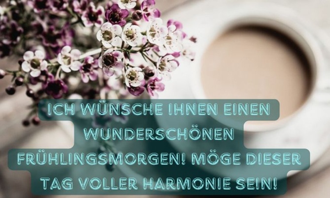 Guten Frühlingsmorgen: Ich wünsche allen einen wunderschönen Frühlingsmorgen 1