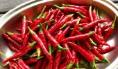 Кайенский перец для похудения: почему его стоит включать в диету