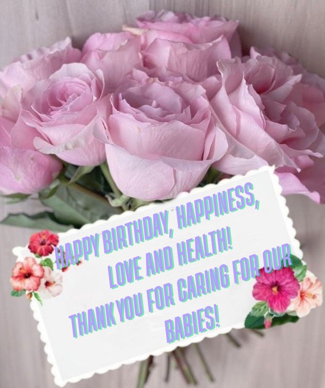 Touching birthday greetings to the teacher in verse, postcards, prose 3